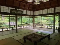 青林寺の写真・動画_image_563321