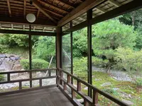 青林寺の写真・動画_image_563322