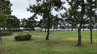 湯っ足りパークの写真・動画_image_563922