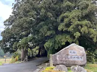 平泉寺白山神社の写真・動画_image_564571