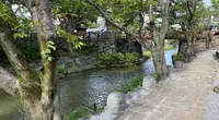 八幡堀の写真・動画_image_564955