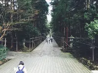彌彦神社の写真・動画_image_56770