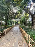 赤坂氷川神社の写真・動画_image_569301