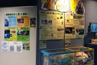沖縄美ら海水族館の写真・動画_image_571324