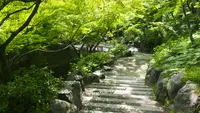 東福寺の写真・動画_image_575372
