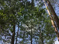 ささやまの森公園の写真・動画_image_575486