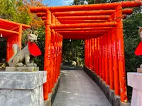 福徳稲荷神社の写真・動画_image_575769