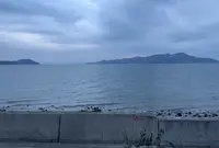 ネコノシマホステルの写真・動画_image_576071