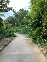まいぱり 宮古島熱帯果樹園の写真・動画_image_581637