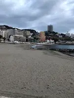 熱海サンビーチの写真・動画_image_582392