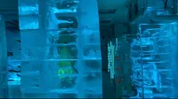 氷の水族館の写真・動画_image_583360