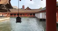 厳島神社の写真・動画_image_584214