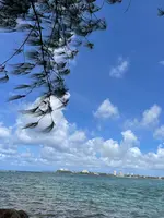 Hagania Bay（ハガニア湾）の写真・動画_image_584926