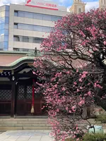 三宮神社の写真・動画_image_585494