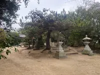 家プロジェクト 護王神社の写真・動画_image_586253
