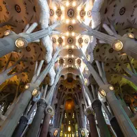 Sagrada Família（サグラダ・ファミリア聖堂）の写真・動画_image_592855
