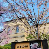 京都府庁 旧本館の写真・動画_image_593163