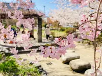 桜井公園の写真・動画_image_593194