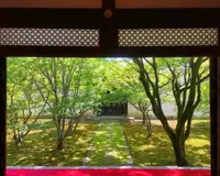 妙覚寺の写真・動画_image_593884