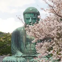 鎌倉大仏（高徳院）の写真・動画_image_594380