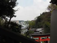 江島神社 辺津宮の写真・動画_image_594558