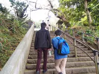江島神社 辺津宮の写真・動画_image_594567