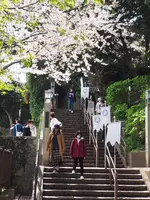 江島神社 辺津宮の写真・動画_image_594665