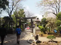江島神社 辺津宮の写真・動画_image_594667