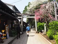 江島神社 辺津宮の写真・動画_image_594673