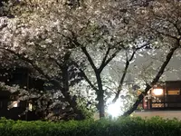 時たらず【広尾/恵比寿 日本料 和食 接待 個室 ランチ】の写真・動画_image_594774