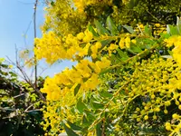 ヨシタベーカリーの写真・動画_image_597142