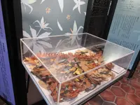 欽差行台の写真・動画_image_599848