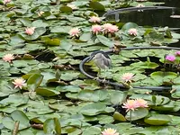 国立台湾芸術教育館の写真・動画_image_599873