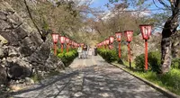 津山城 鶴山公園の写真・動画_image_599905