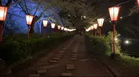 津山城 鶴山公園の写真・動画_image_599907