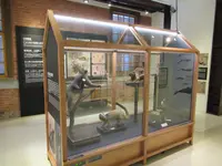 国立台湾博物館南門園区の写真・動画_image_600130