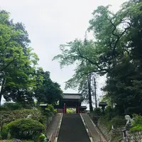 貫前神社の写真・動画_image_601398
