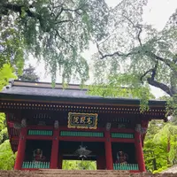 妙義神社の写真・動画_image_601413
