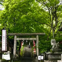 熊野皇大神社の写真・動画_image_601443