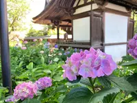 藤森神社の写真・動画_image_602549