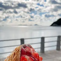 坂利太の写真・動画_image_602589