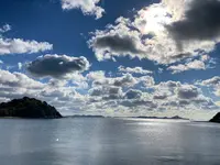 坂利太の写真・動画_image_602592