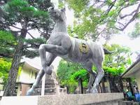 藤森神社の写真・動画_image_602685