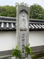 小豆島霊場第1６番 極楽寺の写真・動画_image_613197