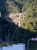 那智の滝の写真・動画_image_614237