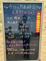 鳥取砂丘の写真・動画_image_618253