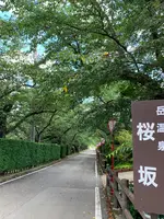 岳温泉 桜坂の写真・動画_image_622147