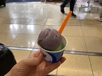 ブルーシールの写真・動画_image_623266