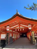 厳島神社の写真・動画_image_626040