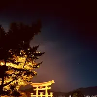 厳島神社の写真・動画_image_626047